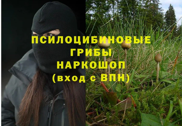 jwh Абаза
