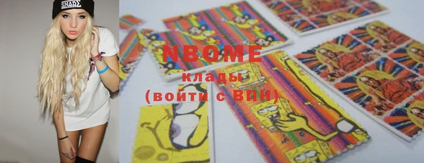 индика Тобольск