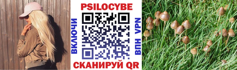 Галлюциногенные грибы MAGIC MUSHROOMS  Иваново 